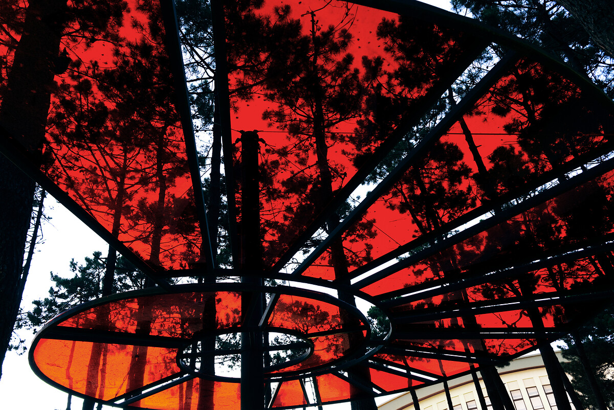 Looking up through a red translucent canopy with dark steel ribs, pine trees silhouetted against it