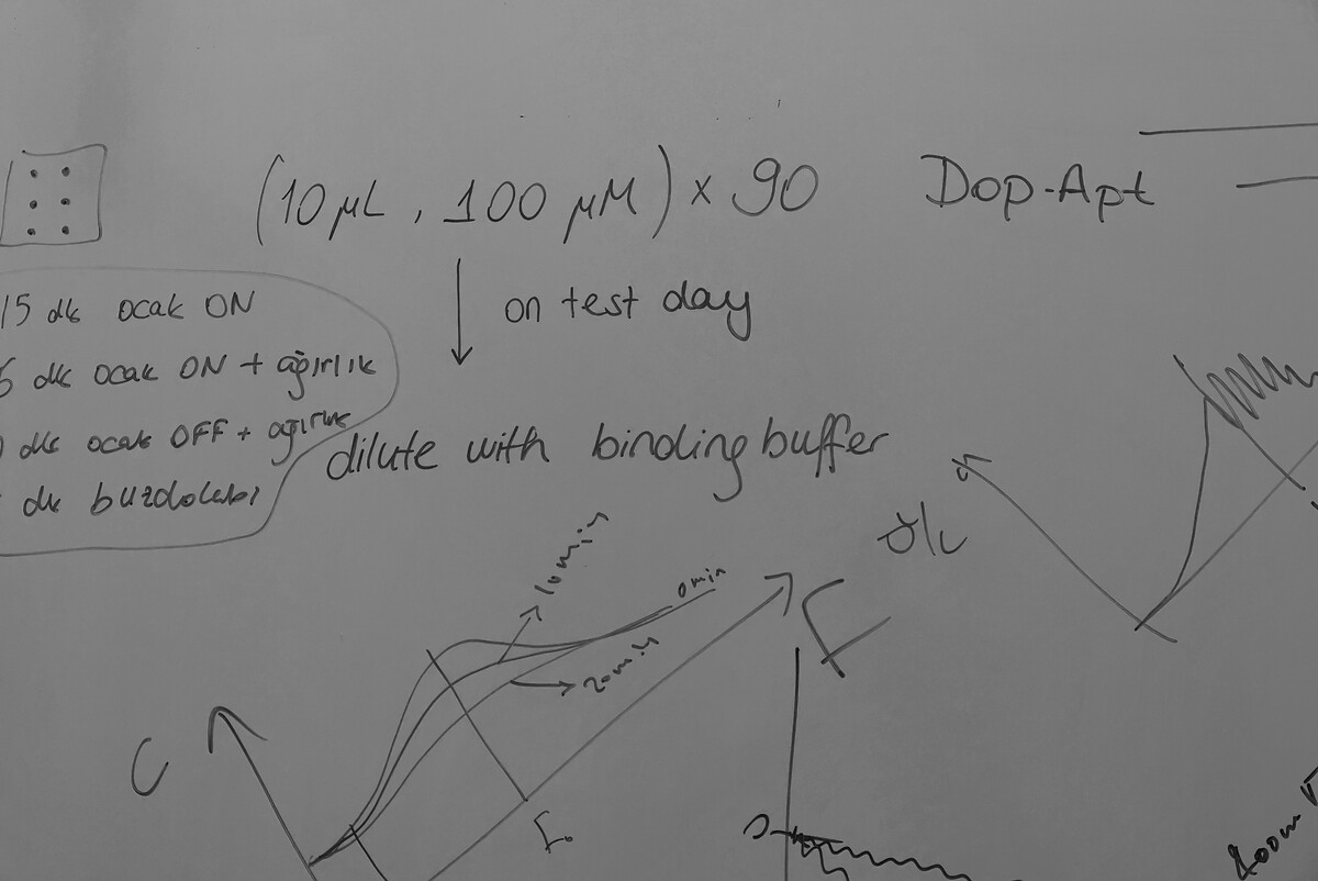 A whiteboard in black and white covered in handwritten notes and hand-drawn curves